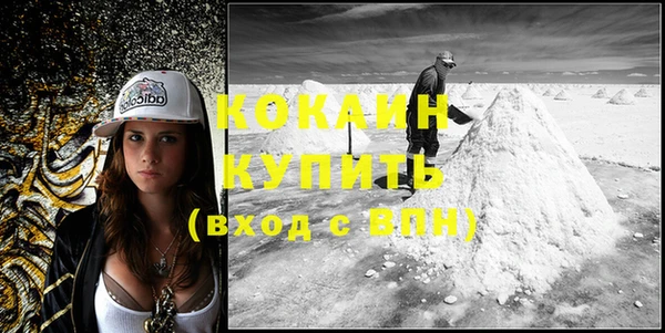 ешки Няндома